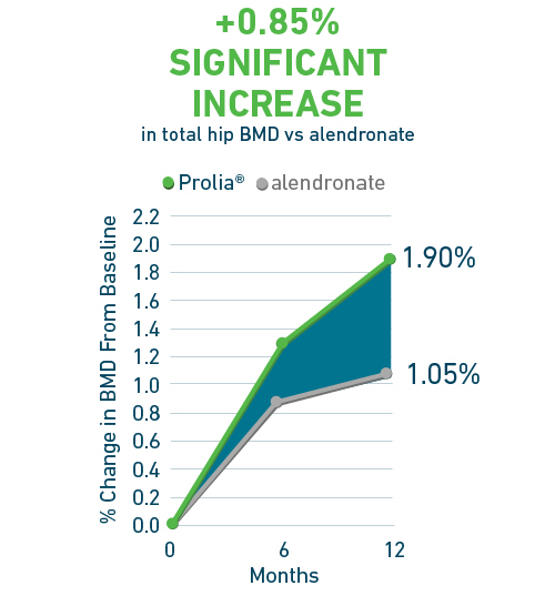 Bmd Chart