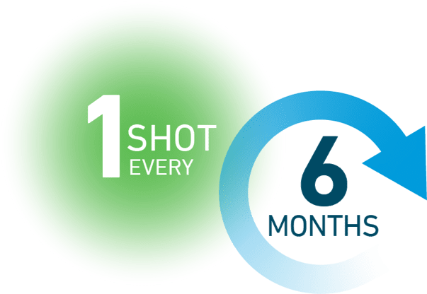 one-shot-every-six-months